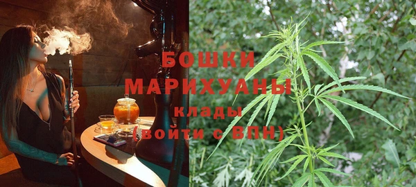 бошки Медногорск