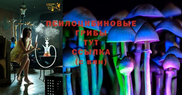 ешки Мегион