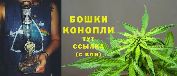 сатива Медвежьегорск